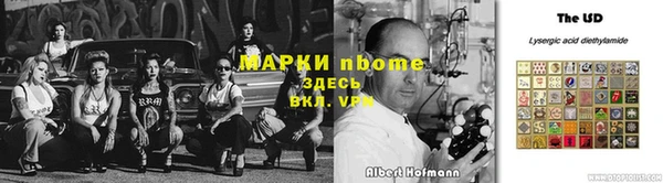 амф Новозыбков