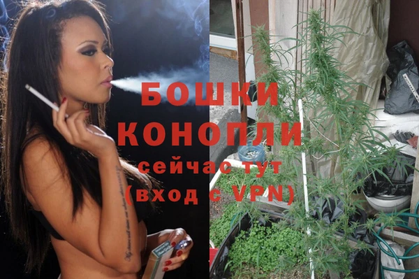 мет Нея