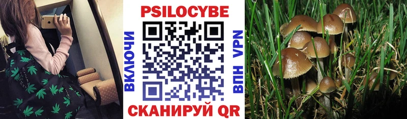 Псилоцибиновые грибы GOLDEN TEACHER  как найти закладки  Уварово 